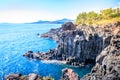 The Daepo Jusangjeolli basalt columnar joints and cliffs on Jeju Island Royalty Free Stock Photo