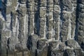 Daepo Jusangjeolli Cliff on Jeju Island South Korea Royalty Free Stock Photo