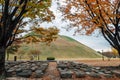 Daereungwon ancient tombs at autumn in Gyeongju, Korea