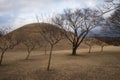 Daereungwon Tomb Complex and Cheonmachong Hwangnam Daechong during winter evening at Gyeongju , South Korea : 10 February 2023 Royalty Free Stock Photo