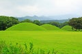 Daereungwon Tomb Complex, South Korea Royalty Free Stock Photo