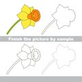 Daffodil. Drawing worksheet.