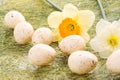 Daffodil and easter eggs Royalty Free Stock Photo