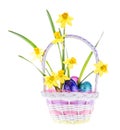 Daffodil & Easter Eggs in Basket - Isolated Royalty Free Stock Photo