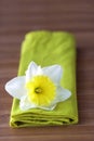 Daffodil Flower on green napkin Royalty Free Stock Photo