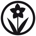 Daffodil flower icon in a bold black and white silhouette style inside a circle frame Royalty Free Stock Photo