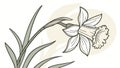 Daffodil Flower, Springtime Symbol and Natural Elegance. vector design Generative AI Royalty Free Stock Photo