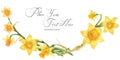 Decorative watercolor arc with yellow daffodil flowers