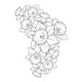 daffodil flowers illustration coloring page, simplicity, Embellishment, monochrome, vector art, blossom daffodil doodle atr