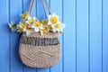 Daffodil garden flowers in a wicker summer bag