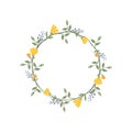 Daffodil and iris flower wreath. Green decorative ivy. Spring floral round frames. Creeper plant flat vector illustration