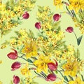 Daffodil, mimosa, tulip flowers, watercolor, pattern seamless