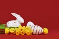 Daffodil spring flowers, Easter chicks and eggs on red background