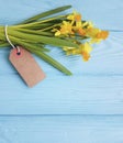 Daffodil willow seasonal present on a blue wooden tag fresh rustic congratulations