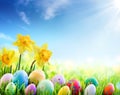 Daffodils And Colorful Decorated Eggs On The Sunny Meadow - Easter Royalty Free Stock Photo