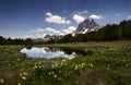 Daffodils mountain lake