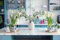 Daffodils and plants in pots, branches tree olive with easter eggs in vase. Stylish kitchen interior with easter decor. Royalty Free Stock Photo