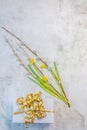 Daffodils, pussy willow, white crab with a gift on a gray background. Postcard with spring holidays, easter, 8 march