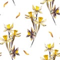 Daffodils Seamless Pattern. Watercolor Background. Seamless wallpaper with Narcissus flowers. Watercolor illustration