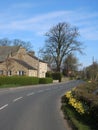 Daffodils side village lane with houses, tree Royalty Free Stock Photo