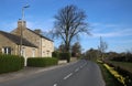 Daffodils side village lane with houses, tree Royalty Free Stock Photo