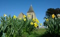 Daffodils at St Clement Church. Old Romney, Kent, UK