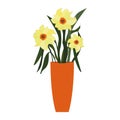daffodils in a tall vase. Vector illustration. A bouquet of flowers. Royalty Free Stock Photo
