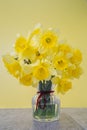 Daffodils in a vase on a soft yellow background