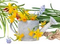 Daffodils on a watering can Royalty Free Stock Photo