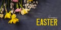 Daffodils and willow on dark cement background with Happy Easter text. Spring Easter background top view, flat lay.