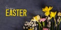 Daffodils and willow on dark cement background with Happy Easter text. Spring Easter background top view, flat lay.