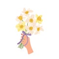 Daffodils yellow spring flowers elegant bouquet in female hand isolated on white background Royalty Free Stock Photo