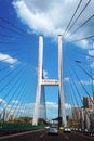 Dafosi Bridge over Yangtze River Royalty Free Stock Photo