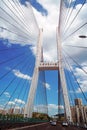 Dafosi Bridge over Yangtze River Royalty Free Stock Photo