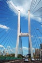 Dafosi Bridge over Yangtze River Royalty Free Stock Photo