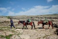 Dagestan, Russia - June 2, 2020: Shepherd and horses in the mountains