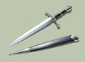 Dagger and scabbard Royalty Free Stock Photo