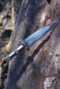 Dagger In Wood