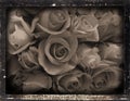 Dagguereotype repro 'roses' Royalty Free Stock Photo