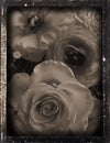 Dagguereotype repro 'wedding'