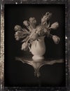 Dagguereotype Still-Life