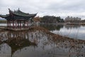 Daguan park scenery with black headed gulls in winter Royalty Free Stock Photo