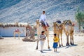 Dahab, Egypt - November 05, 2011. Egyptian riding on the camel in Sinai