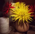 Dahlia bouquet with interesting candle quote: laugh a little