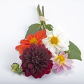 Dahlia bouquet Royalty Free Stock Photo