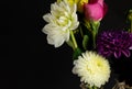 Dahlia. Bouquet. Single Flower. Daisy Family. Flower Head