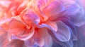 Dahlia Dreamscape: A Soft-Focus Macro of Pink and Purple Petals for a Beautiful Floral Abstract Background Royalty Free Stock Photo