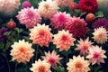 Dahlia flower banquet beautiful spectacular flower arrangement background