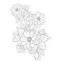 Dahlia flower bouquet, a branch of botanical dahlia flower line art, realistic dahlia flower outline, planet dahlia illustration