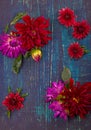 Dahlia flowers on the old wooden background Royalty Free Stock Photo